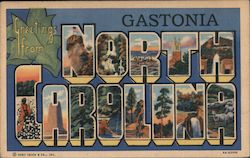 Greetings from Gastonia Postcard