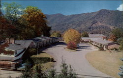 Oak Park Motor Inn Postcard