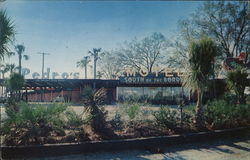 South of the Boarder Motel Postcard